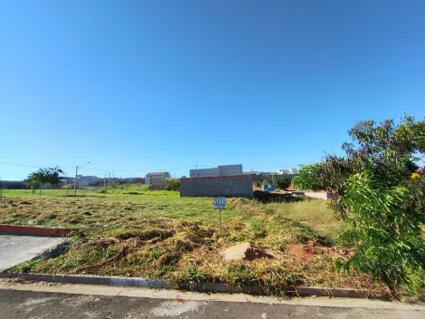 Comprar Terreno / Padr&atilde;o em S&atilde;o Jos&eacute; do Rio Preto R$ 169.000,00 - Foto 12