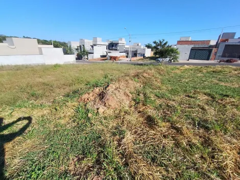 Comprar Terreno / Padr&atilde;o em S&atilde;o Jos&eacute; do Rio Preto R$ 169.000,00 - Foto 10