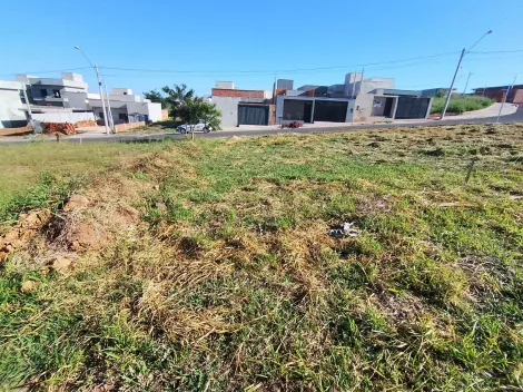 Comprar Terreno / Padr&atilde;o em S&atilde;o Jos&eacute; do Rio Preto R$ 169.000,00 - Foto 8