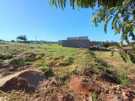 Comprar Terreno / Padr&atilde;o em S&atilde;o Jos&eacute; do Rio Preto R$ 169.000,00 - Foto 6