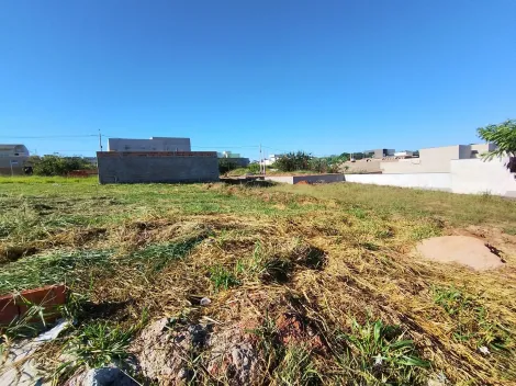 Comprar Terreno / Padr&atilde;o em S&atilde;o Jos&eacute; do Rio Preto R$ 169.000,00 - Foto 5