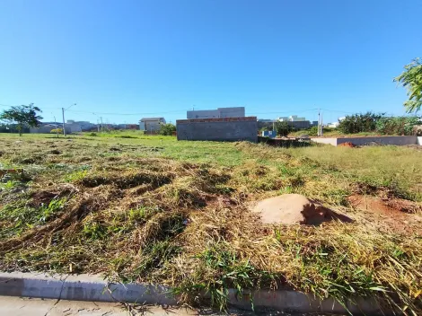 Alugar Terreno / Padr&atilde;o em S&atilde;o Jos&eacute; do Rio Preto. apenas R$ 169.000,00