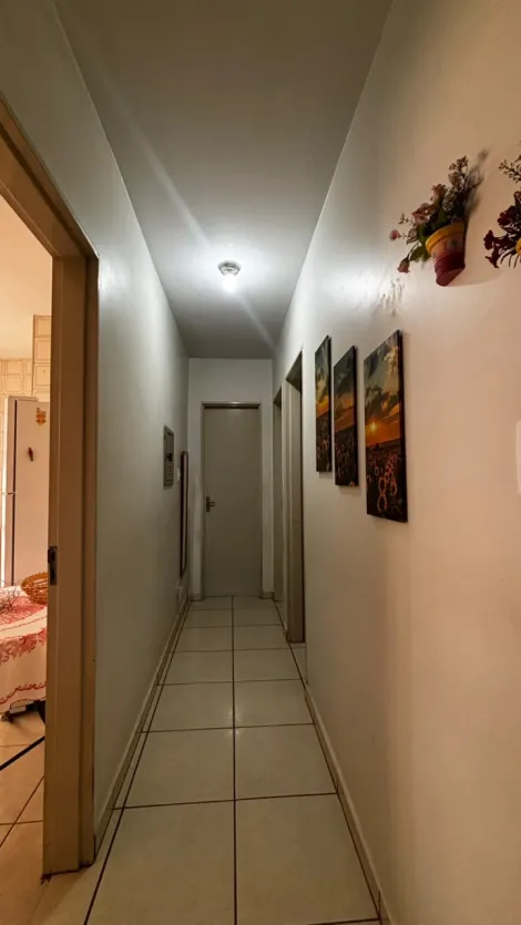 Alugar Apartamento / Padr&atilde;o em S&atilde;o Jos&eacute; do Rio Preto R$ 1.200,00 - Foto 19
