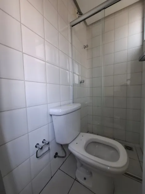 Alugar Apartamento / Padr&atilde;o em S&atilde;o Jos&eacute; do Rio Preto R$ 3.900,00 - Foto 10