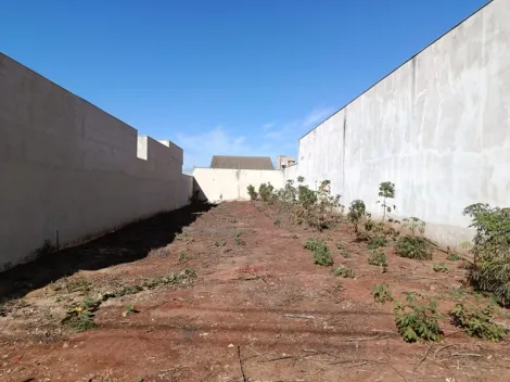 Comprar Terreno / Padr&atilde;o em S&atilde;o Jos&eacute; do Rio Preto R$ 320.000,00 - Foto 3