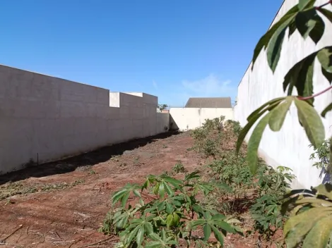 Comprar Terreno / Padr&atilde;o em S&atilde;o Jos&eacute; do Rio Preto R$ 320.000,00 - Foto 4