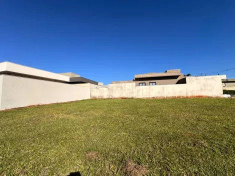 Comprar Terreno / Condom&iacute;nio em Mirassol R$ 340.000,00 - Foto 5