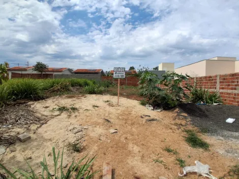 Comprar Terreno / Padr&atilde;o em Bady Bassitt R$ 80.000,00 - Foto 6