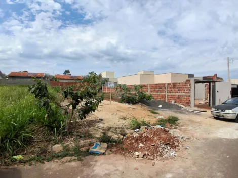 Comprar Terreno / Padr&atilde;o em Bady Bassitt R$ 80.000,00 - Foto 8