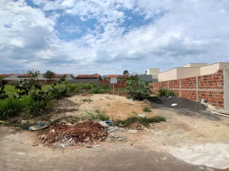 Comprar Terreno / Padr&atilde;o em Bady Bassitt R$ 80.000,00 - Foto 9