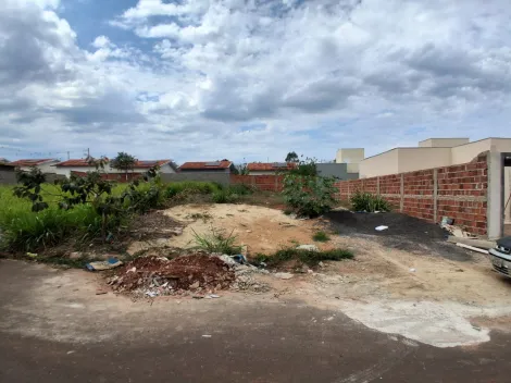 Comprar Terreno / Padr&atilde;o em Bady Bassitt R$ 80.000,00 - Foto 10