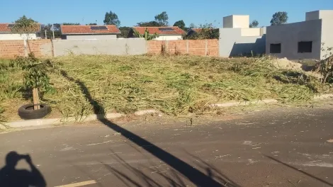 Terreno / Padr&atilde;o em Bady Bassitt 