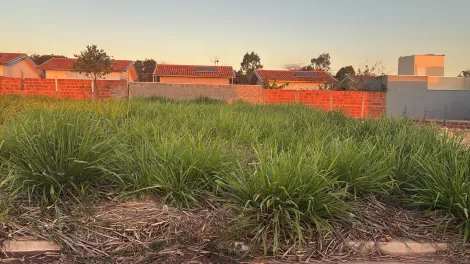 Comprar Terreno / Padr&atilde;o em Bady Bassitt R$ 80.000,00 - Foto 3