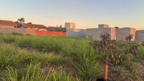 Comprar Terreno / Padr&atilde;o em Bady Bassitt R$ 80.000,00 - Foto 5