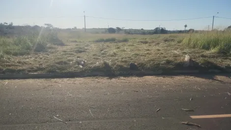 Terreno / Padr&atilde;o em Bady Bassitt 