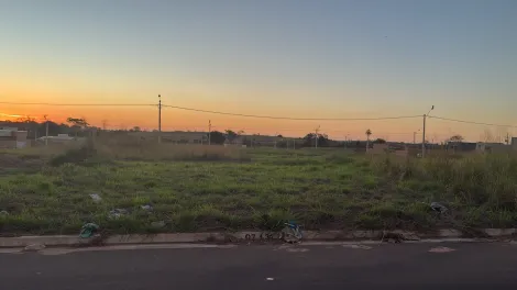 Comprar Terreno / Padr&atilde;o em Bady Bassitt R$ 80.000,00 - Foto 2