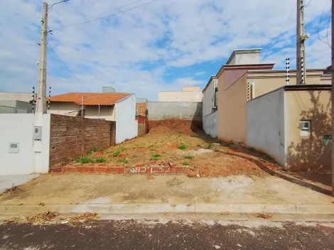 Comprar Terreno / Padr&atilde;o em Mirassol R$ 86.000,00 - Foto 5