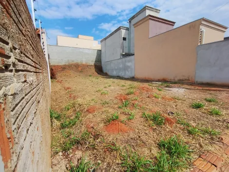 Comprar Terreno / Padr&atilde;o em Mirassol R$ 86.000,00 - Foto 9