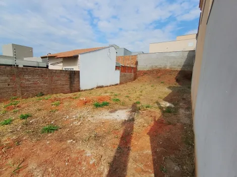 Comprar Terreno / Padr&atilde;o em Mirassol R$ 86.000,00 - Foto 10