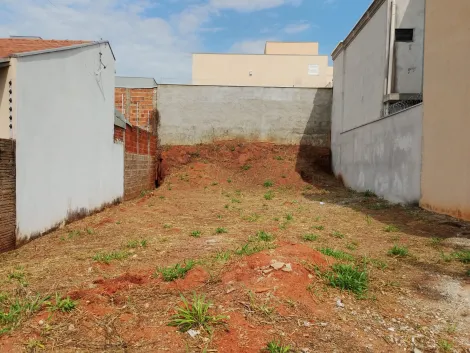 Comprar Terreno / Padr&atilde;o em Mirassol R$ 86.000,00 - Foto 13
