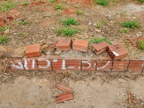 Comprar Terreno / Padr&atilde;o em Mirassol R$ 86.000,00 - Foto 14