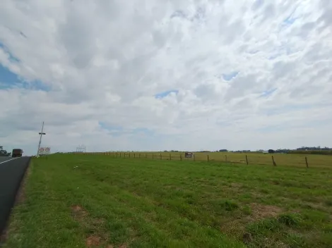 Comprar Terreno / &Aacute;rea em Cedral R$ 6.000.000,00 - Foto 3