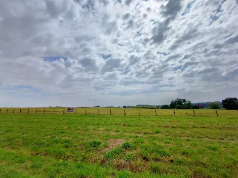 Comprar Terreno / &Aacute;rea em Cedral R$ 6.000.000,00 - Foto 4