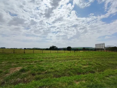 Comprar Terreno / &Aacute;rea em Cedral R$ 6.000.000,00 - Foto 5