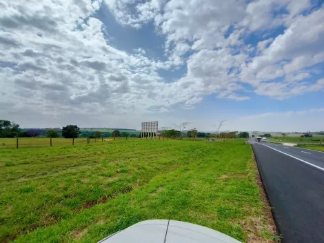 Comprar Terreno / &Aacute;rea em Cedral R$ 6.000.000,00 - Foto 2