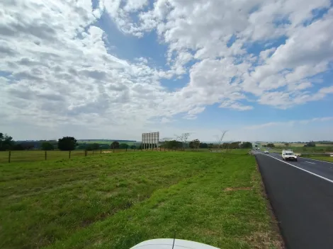 Terreno / &Aacute;rea em Cedral , Comprar por R$6.000.000,00