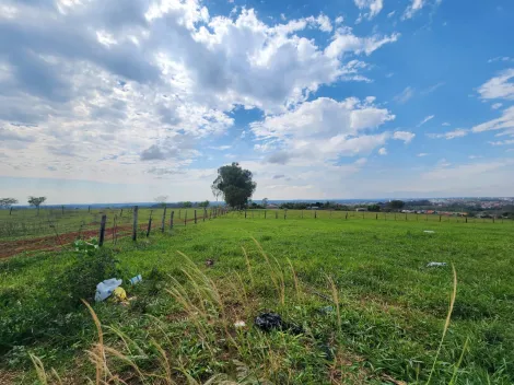 Comprar Terreno / Padr&atilde;o em S&atilde;o Jos&eacute; do Rio Preto R$ 77.800,00 - Foto 2