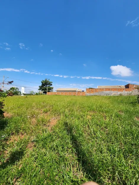 Comprar Terreno / Padr&atilde;o em S&atilde;o Jos&eacute; do Rio Preto R$ 77.800,00 - Foto 3