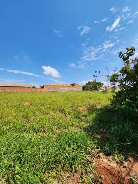 Alugar Terreno / Padr&atilde;o em S&atilde;o Jos&eacute; do Rio Preto. apenas R$ 77.800,00