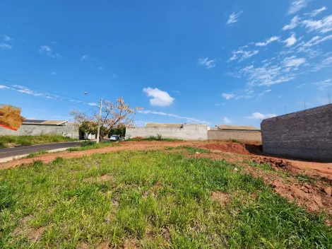 Alugar Terreno / Padr&atilde;o em S&atilde;o Jos&eacute; do Rio Preto. apenas R$ 87.000,00