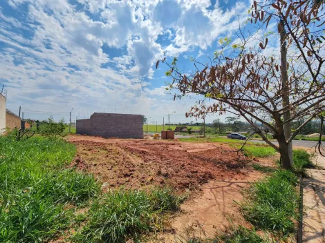 Comprar Terreno / Padr&atilde;o em S&atilde;o Jos&eacute; do Rio Preto R$ 87.000,00 - Foto 2