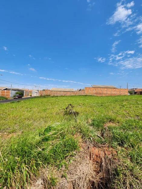Alugar Terreno / Padr&atilde;o em S&atilde;o Jos&eacute; do Rio Preto. apenas R$ 87.000,00