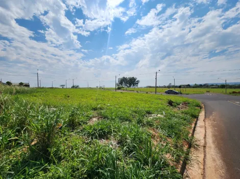Comprar Terreno / Padr&atilde;o em S&atilde;o Jos&eacute; do Rio Preto R$ 87.000,00 - Foto 3