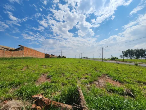 Comprar Terreno / Padr&atilde;o em S&atilde;o Jos&eacute; do Rio Preto R$ 87.000,00 - Foto 4