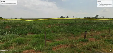 Comprar Rural / S&iacute;tio em Bady Bassitt R$ 7.800.000,00 - Foto 7