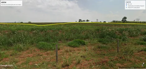 Comprar Rural / S&iacute;tio em Bady Bassitt R$ 7.800.000,00 - Foto 8