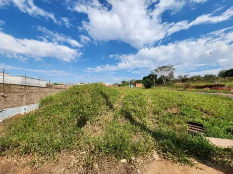 Alugar Terreno / Padr&atilde;o em S&atilde;o Jos&eacute; do Rio Preto. apenas R$ 67.350,00
