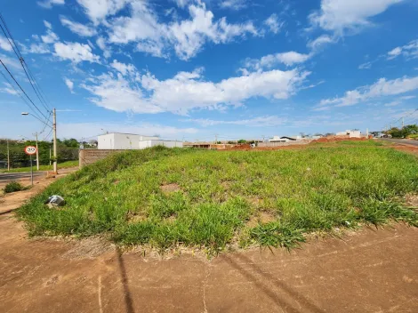 Comprar Terreno / Padr&atilde;o em S&atilde;o Jos&eacute; do Rio Preto R$ 67.350,00 - Foto 2