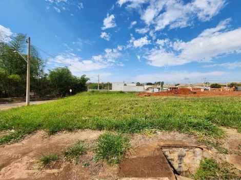 Comprar Terreno / Padr&atilde;o em S&atilde;o Jos&eacute; do Rio Preto R$ 67.350,00 - Foto 3