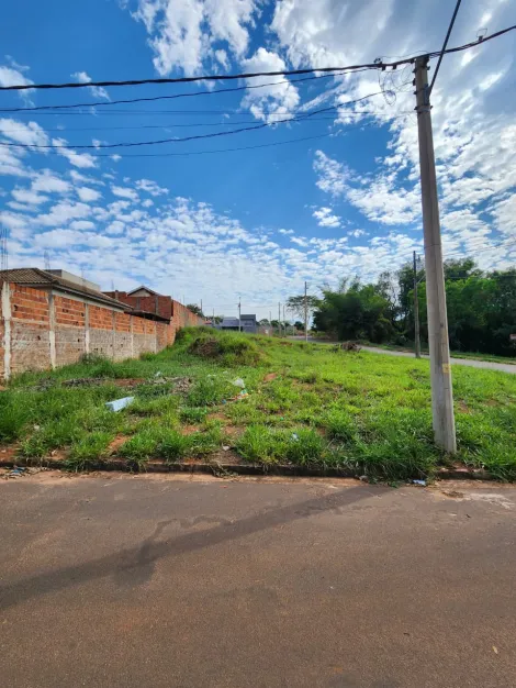 Comprar Terreno / Padr&atilde;o em S&atilde;o Jos&eacute; do Rio Preto R$ 76.500,00 - Foto 2