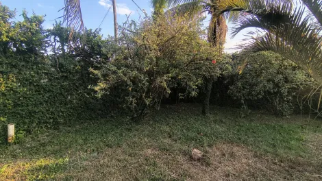 Comprar Casa / Padr&atilde;o em Ibir&aacute; R$ 940.000,00 - Foto 31