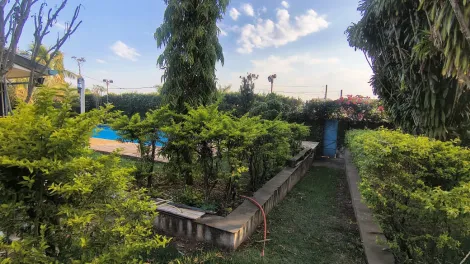 Comprar Casa / Padr&atilde;o em Ibir&aacute; R$ 940.000,00 - Foto 5