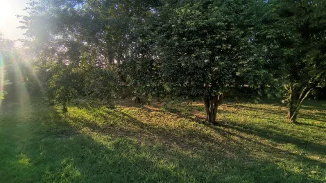 Comprar Casa / Padr&atilde;o em Ibir&aacute; R$ 940.000,00 - Foto 22