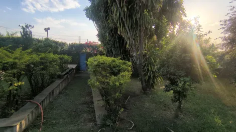 Comprar Casa / Padr&atilde;o em Ibir&aacute; R$ 940.000,00 - Foto 18