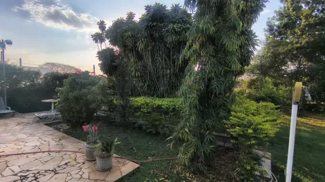 Comprar Casa / Padr&atilde;o em Ibir&aacute; R$ 940.000,00 - Foto 8
