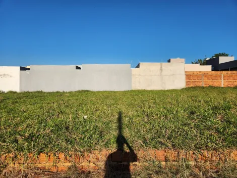 Comprar Terreno / Padr&atilde;o em Mirassol R$ 65.000,00 - Foto 4